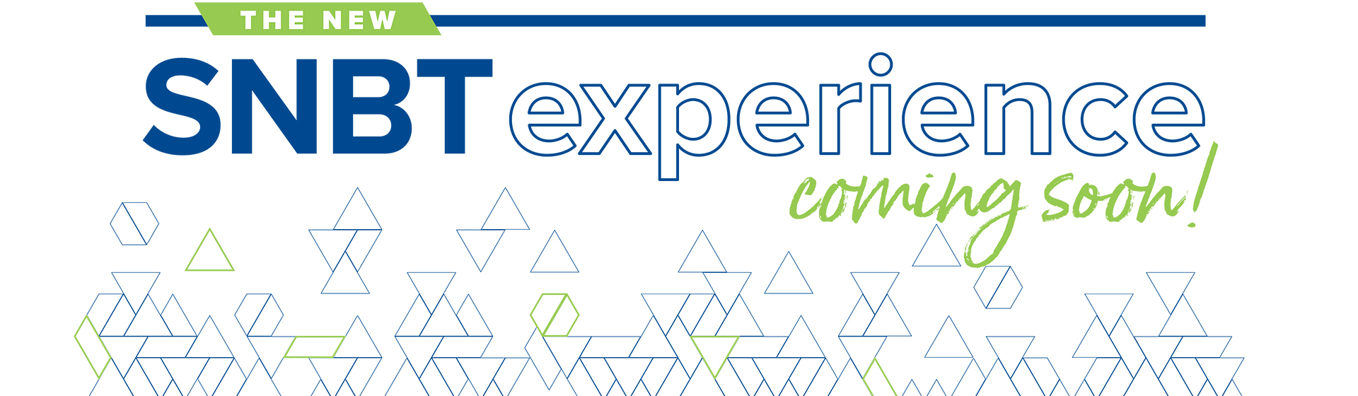 The New SNBT Experience